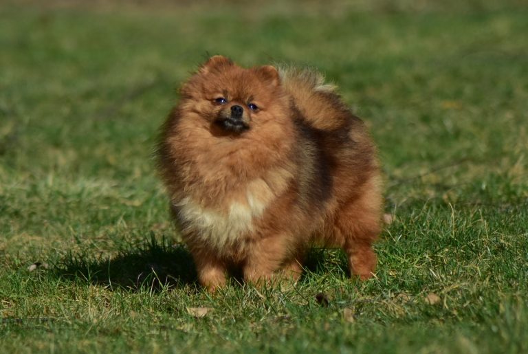 A983238B-FD25-421D-8652-01115C54CB66